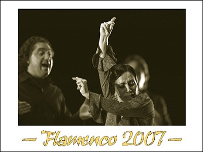 Kunstkalender Flamenco 2007