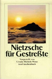 Ursula Michels-Wenz - Nietzsche für Gestresste - Rezension Lettern.de